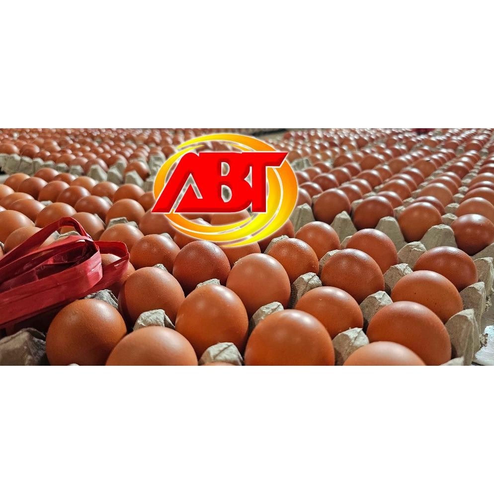 

Tru-63 Abt - Telur Ayam Negeri 1 Tray (Isi 30 Butir, 1800-1900Gram)