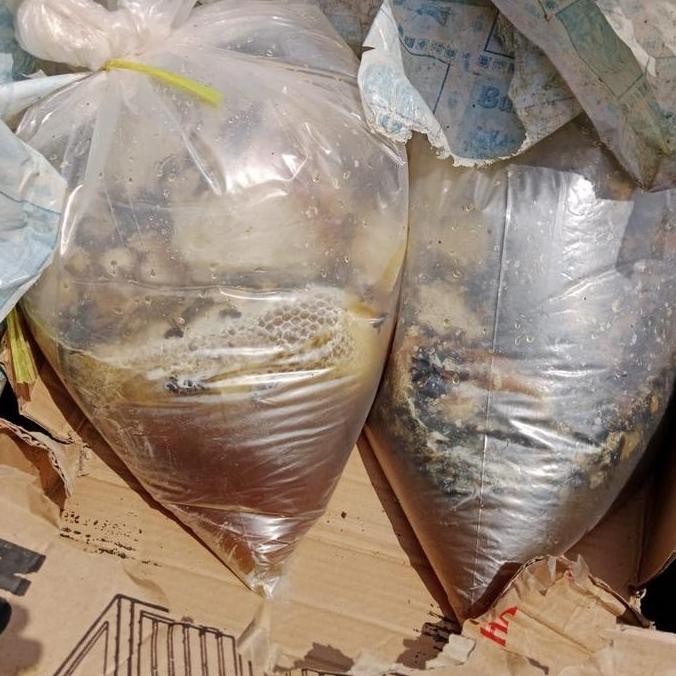 

Promo Madu Sarang Hutan Liar Asli 1Kg Alami Honey