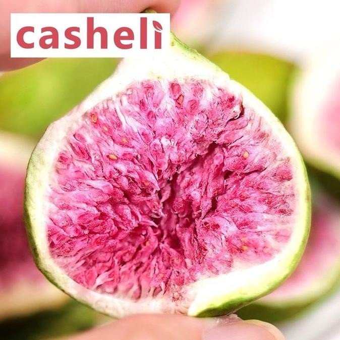 

Sale Casheli 200G Bundle Of 4 Crispy Freeze-Dried Strawberry 50G+ Freeze-Dried Yellow Peach 50G +Freeze-Dried Pink Peach 50G+Freeze-Dried Fig 50G Food Kering Makanan Snacks Camilan Chips