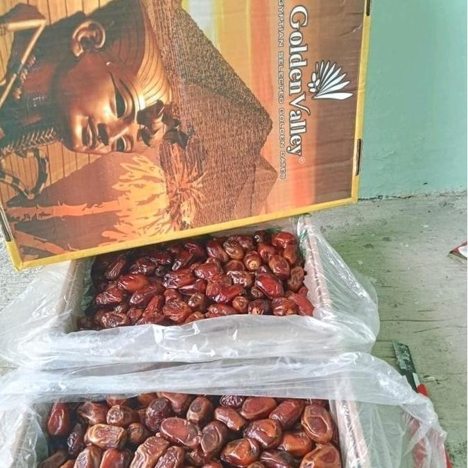 

Grosir Kurma Golden Valley 10Kg Mesir Rendah Gula
