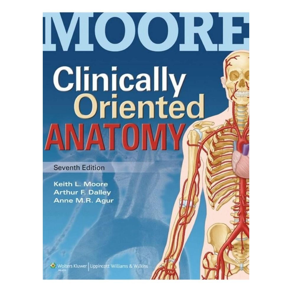 Buku Po Clinically Oriented Anatomy Softcover