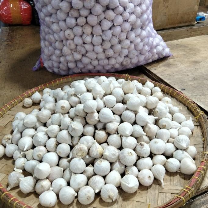 

Bawang Putih Tunggal/Bawang Lanang Ukuran Rata Kecil Fresh 500 gr [terbaik]