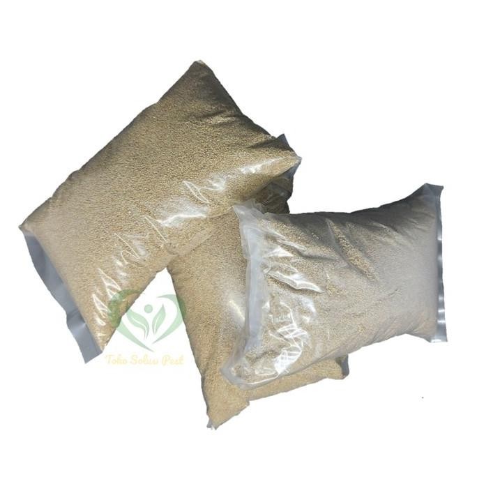 Abate 1 GR pembasmi jentik nyamuk isi 500 gram larvasida dbd malaria murah