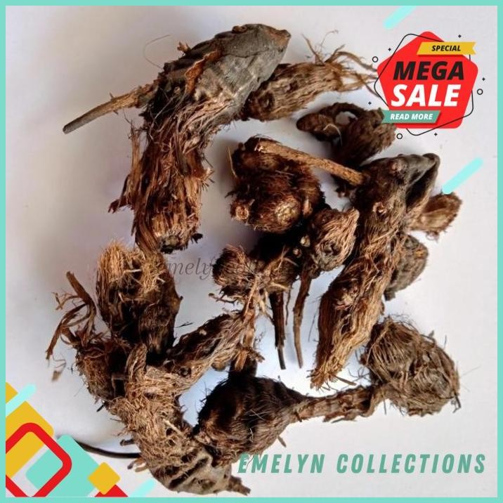 

MURAH 250G UMBI TEKI KERING PREMIUM QUALITY PRODUK PILIHAN !!