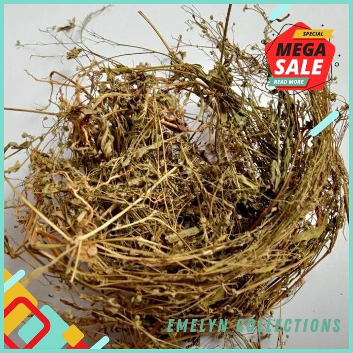 

250G RUMPUT MUTIARA KERING PREMIUM QUALITY PRODUK PILIHAN !!