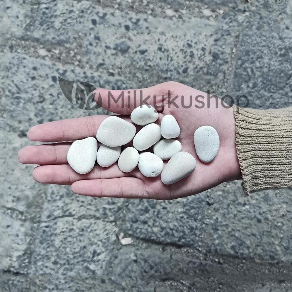 Bisa Cod Batu Koral Putih Kecil - Hiasan Taman Batu Makam Via Gosend Grab <>