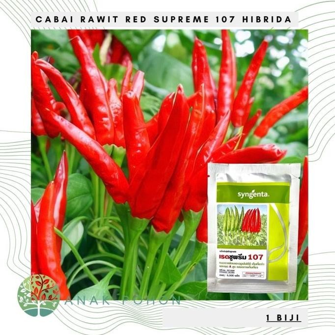 fresh !!! Benih Bibit Biji - Cabai Rawit Red Supreme 107 Hibrida Thai Bird Chili Pepper Seeds - IMPO