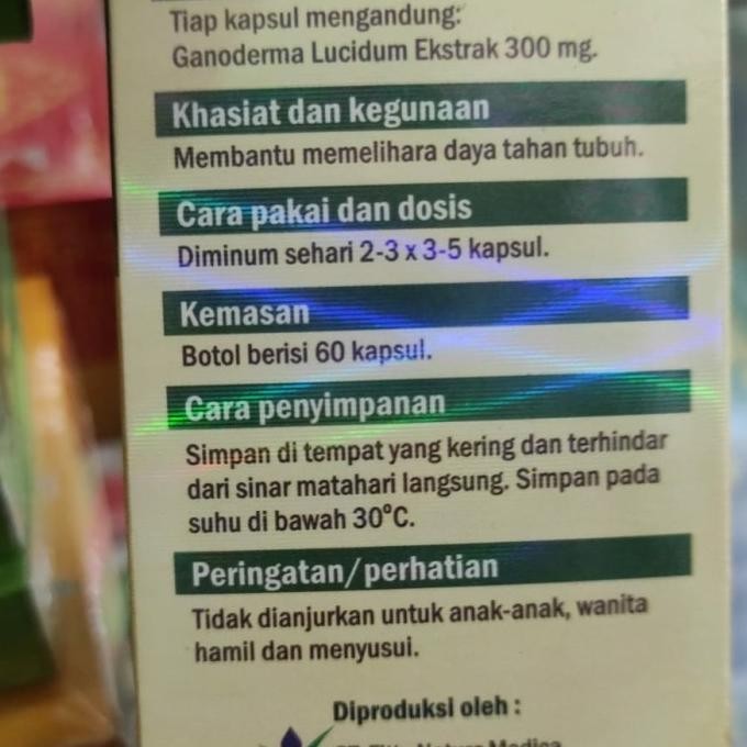 

Sale Lingzhi / Lin Zhi / Ganoderma Lucidum