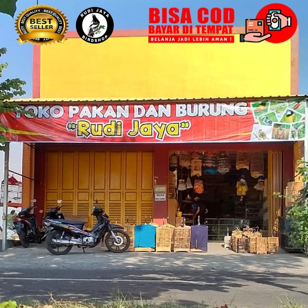 dw-45 TW39 AMS LOLOH BONGSOR BRAL BRUL KRAKATAU R&D RnD PAKAN MAKANAN LOLOH LOLOHAN ANAKAN PIYIK BUR