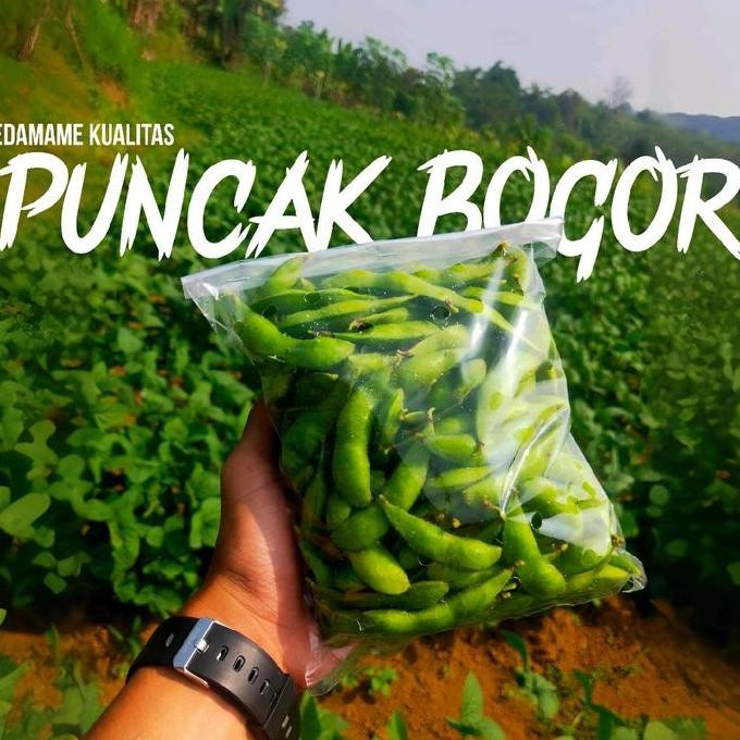 

kacang kedelai jepang edamame fresh premium 1kg nUg