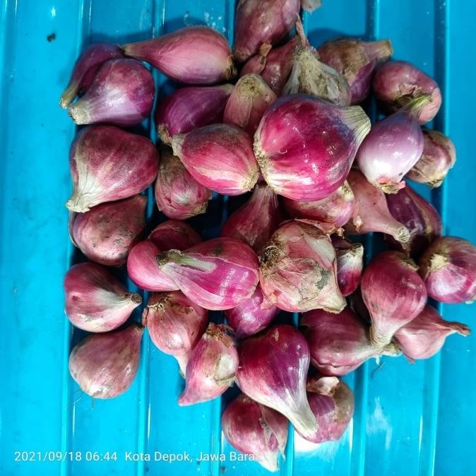 

Bawang Merah Super - Bawang Merah 1/2 Kg - Bawang Merah 1 Kg - 1/4 Kg nUg