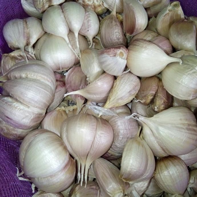 

Bawang putih kating 500 gram (1/2 kg) nUg