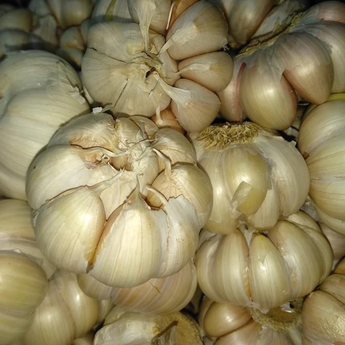 

Bawang Putih Banci Super 250gr nUg