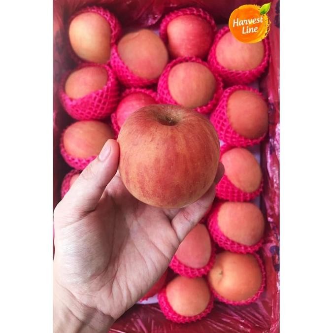 

BUAH APEL FUJI 500 gram nUg