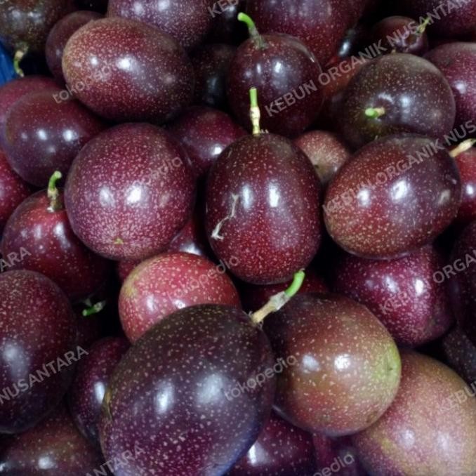 

Buah markisa ungu/markisa wulung segar per 500gram nUg