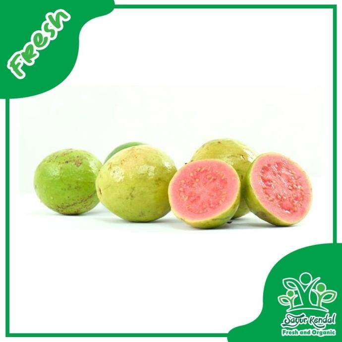 

Jambu Biji Merah - Sayur Kendal nUg