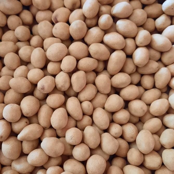 

Kacang Atom 250 gram nUg