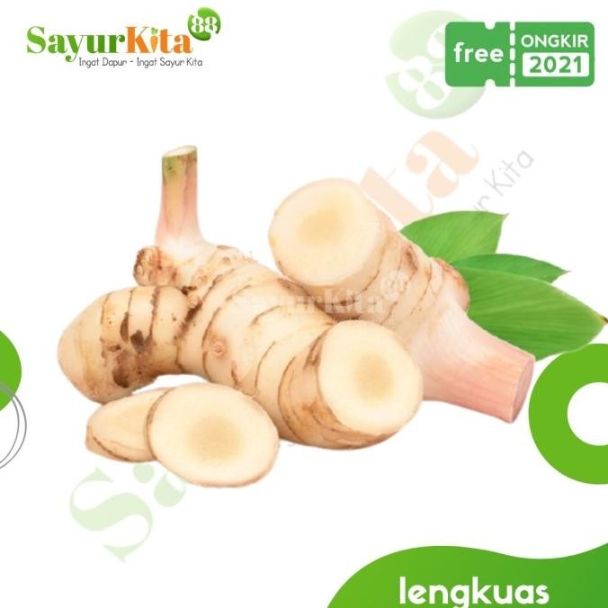 

Lengkuas/Laos Segar - bumbu dapur 500 Gr | 1 Kg nUg