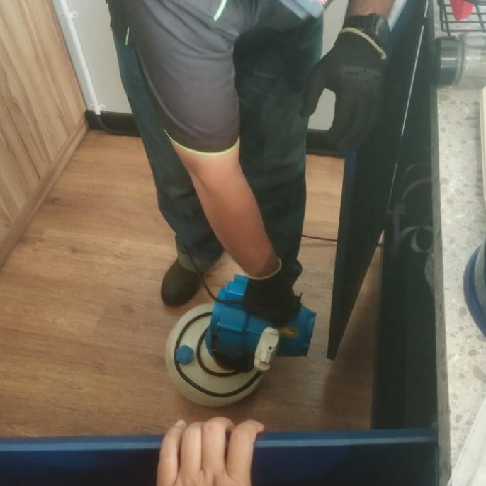 Murah Jasa Pest Control Jakarta