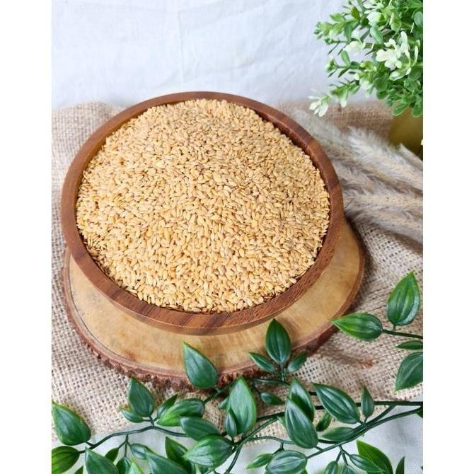 

Grosir Golden Flaxseed 1 Kg / Biji Rami 1 Kg