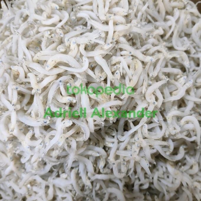 

Promo Teri Toge Medan 250Gr