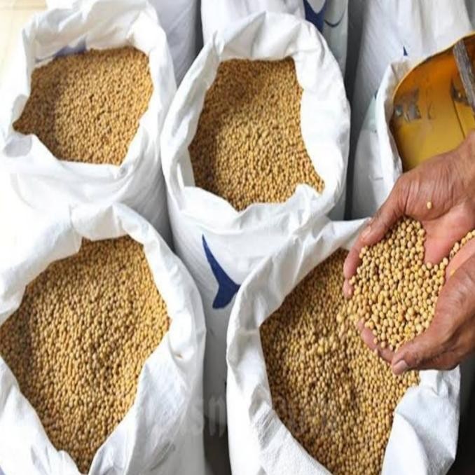 

Grosir Kacang Kedelai Mentah Super Impor-5Kg-10Kg