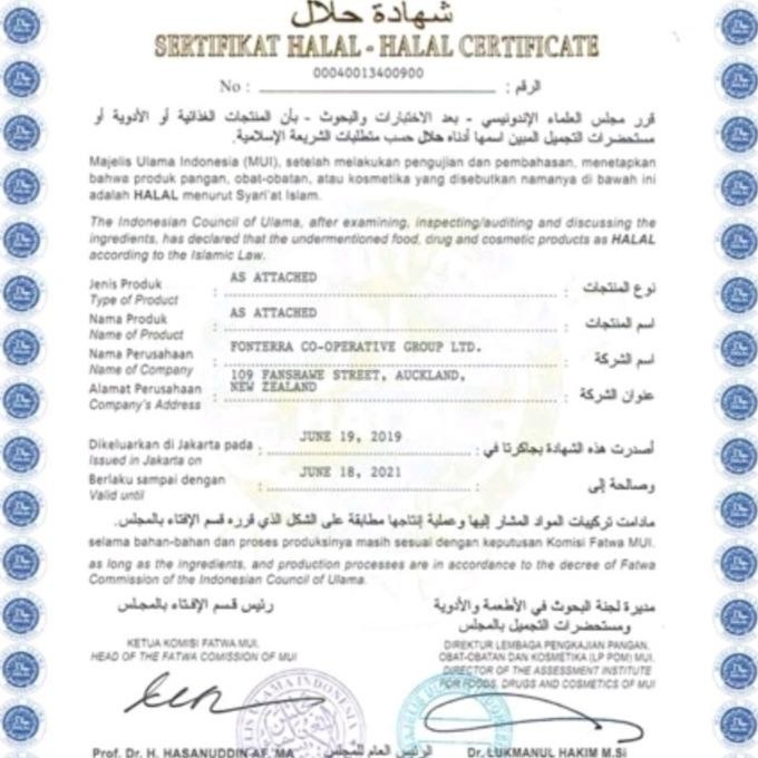 Susu Bubuk Skim/Skim Milk Powder Terbaru