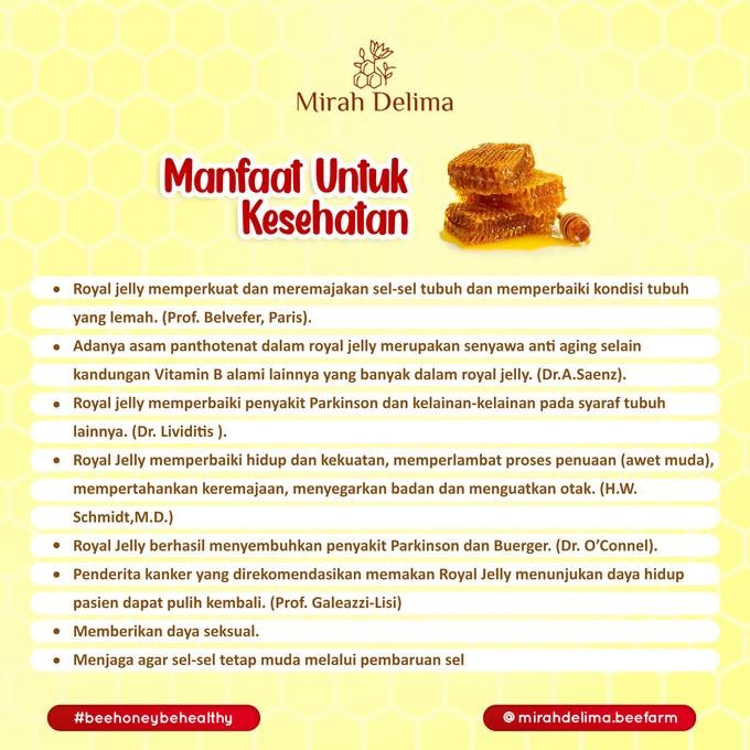 

Raw Royal Jelly - Pure And Fresh - 100 Gram Terlaris