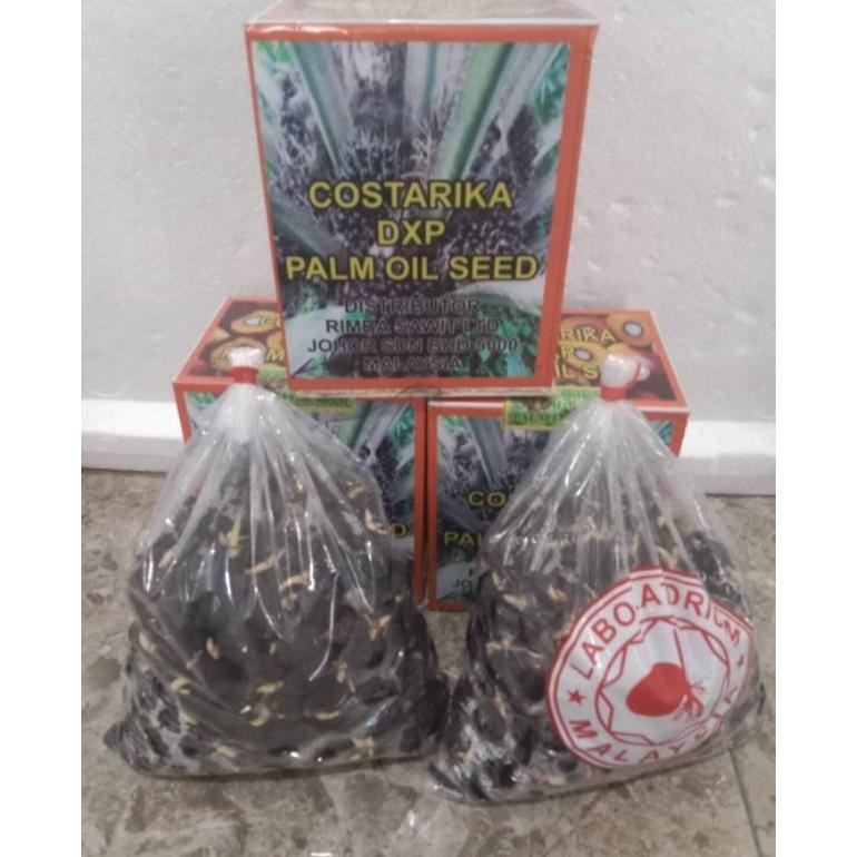 BENIG SAWIT COSTARIKA ASLI UNGGUL ISI 250 BUTIR