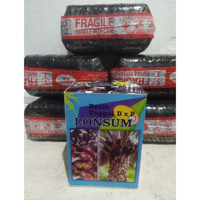 bibit sawit lonsum