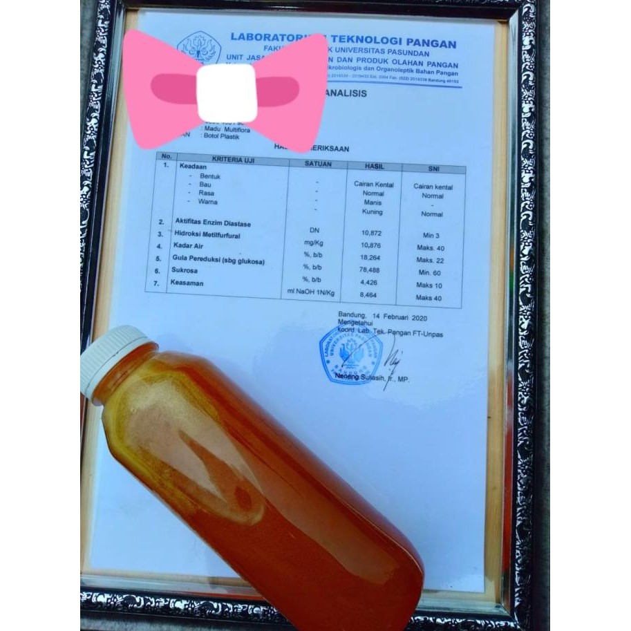 

Rebepal Madu Murni Asli Indonesia Nektar Multiflora - 1 Kg Best Seller