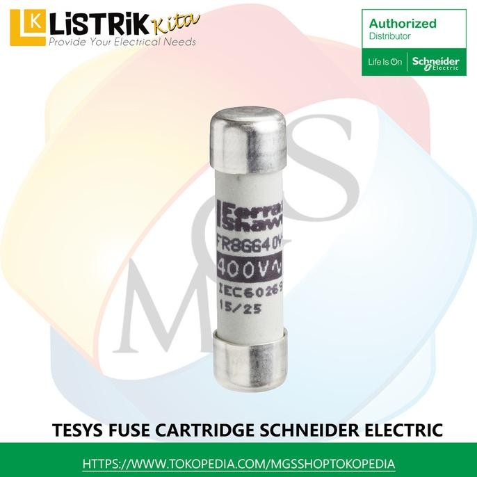 Terjangkau Fuse Schneider Fuse-Disconnector Fuse Cartridge 10X39Mm Am 2A