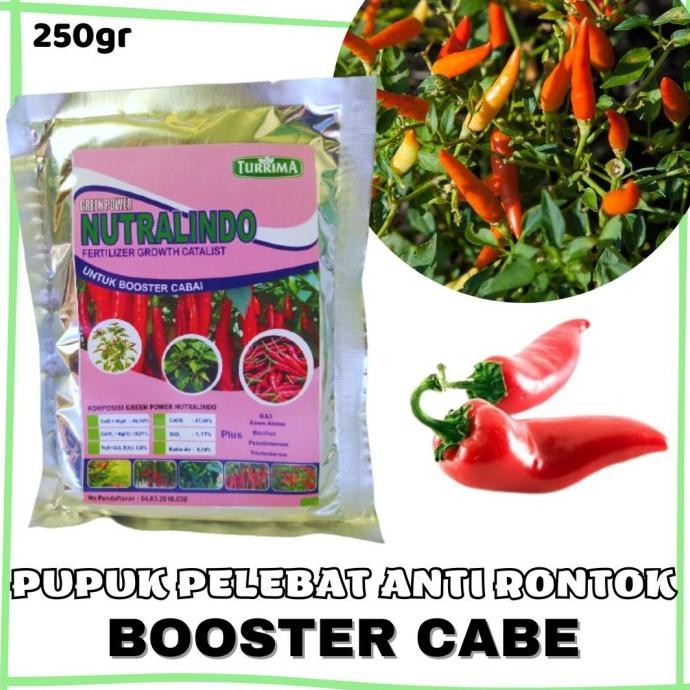 Booster Cabe Rit Pelebat Buah , Nutrisi Tanaman Cabe BARANG SUPER
