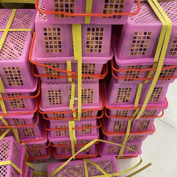 

Grosir Lengkeng Bangkok Keranjang Buah / Kelengkeng Bangkok Manis 3 Kg / Buah