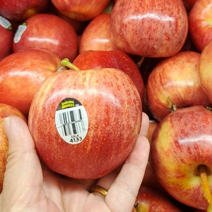 

Murah Apel Royal Gala Fresh Premium 1 Kg