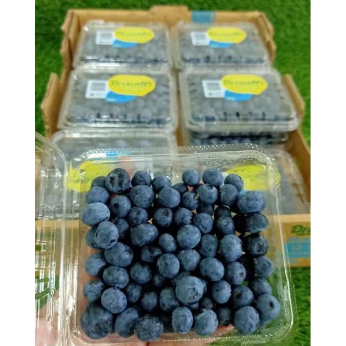 

Grosir Blueberry Driscolls Australia 1 Dus (12 Pack) Fresh Import