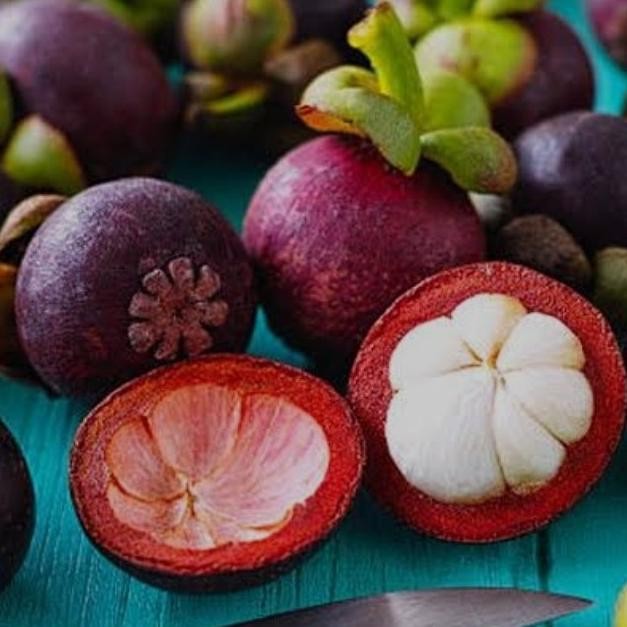 

Murah Buah Manggis Manggu Segar Fresh Asam Manis 1Kg