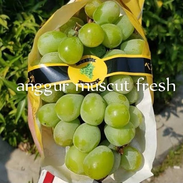 

Grosir Anggur Hijau Jepang Muscut Fresh Manis Per Pack
