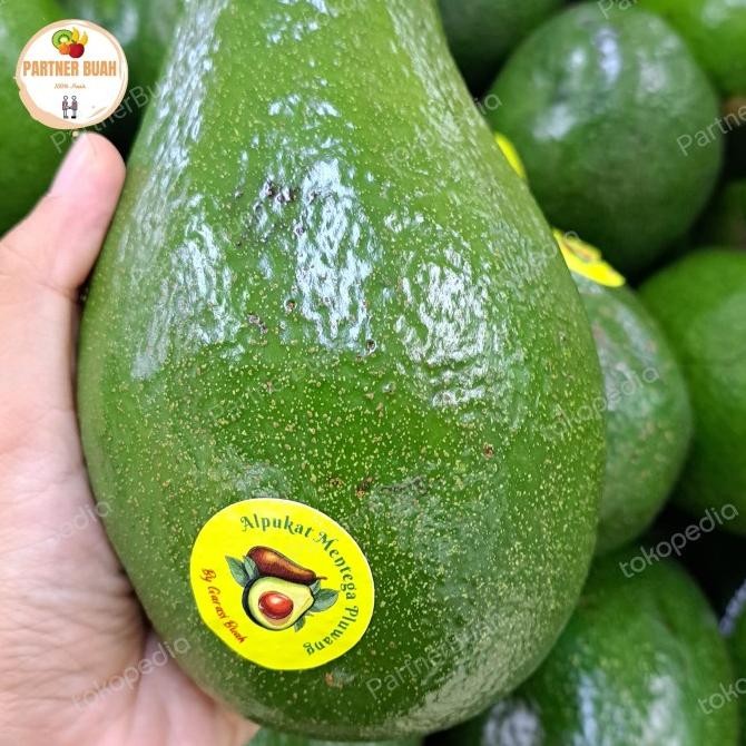 

Sale Alpukat Mentega Pluang Super Jumbo Fresh 1 Kg