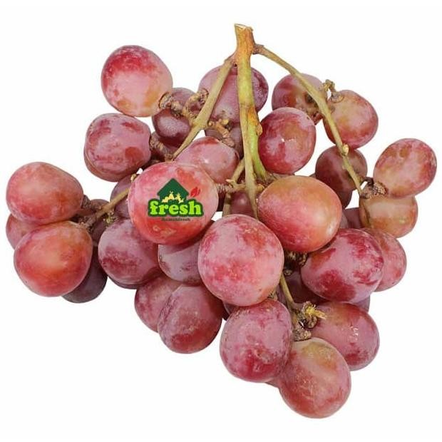 

Promo Anggur Red Globe 1 Kilo, Grape Import Segar Best In Town
