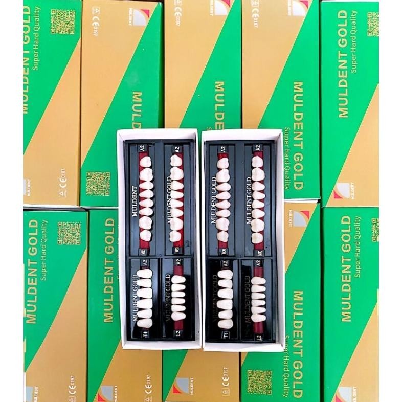 MARINA GIGI MULDENT GOLD FULL SET