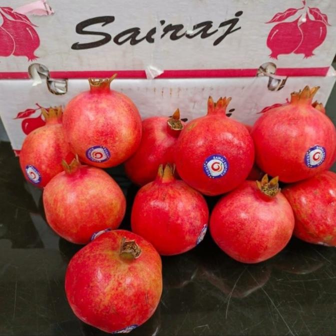 

Grosir Delima India 1 Dus