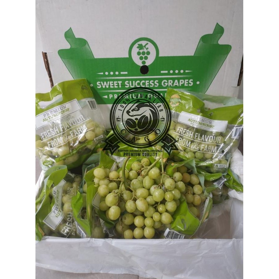 

Promo Anggur Hijau Autumn Crispy Australia 1 Dus (9 Kg) Fresh Import