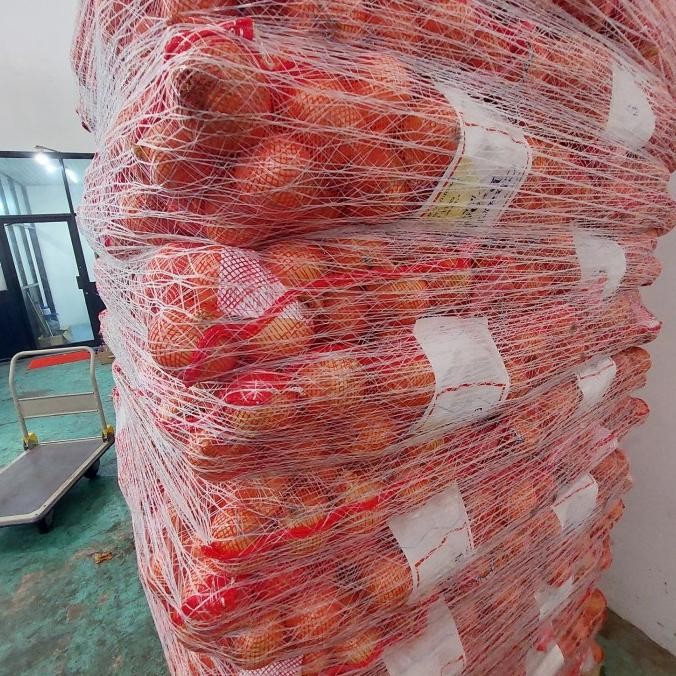 

Promo Bawang Bombay 20Kg/Bawang Bombay New Zealand 20Kg