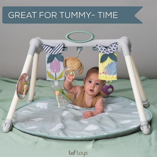 Taf Toys Urban Garden Foldable Gym - Playgym Bayi Playmat Anak Lucu