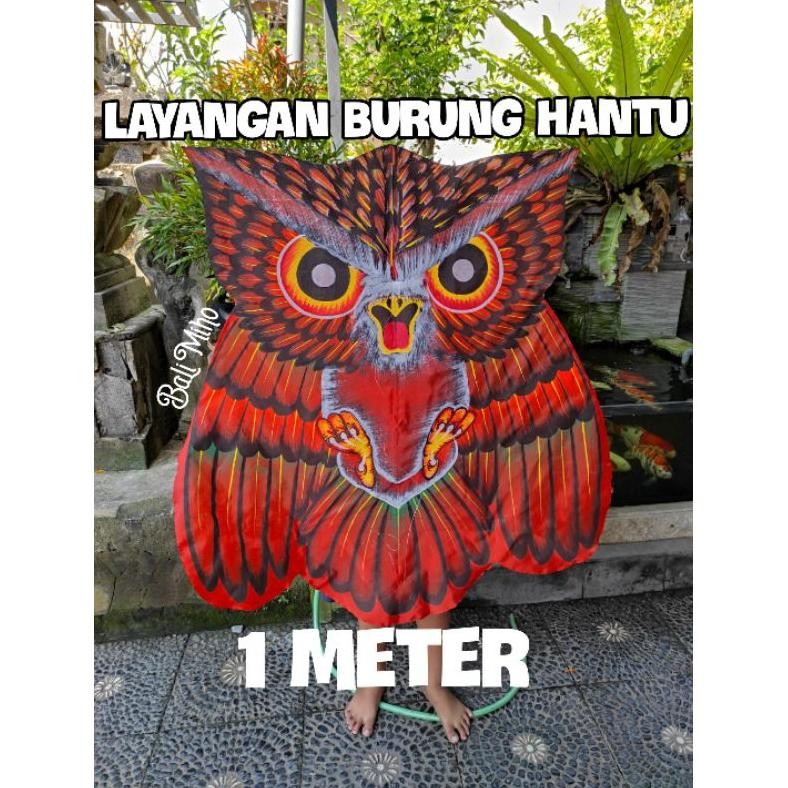Living Layangan Burung Hantu Lukis/Layang Layang Celepuk/Kelepuk/Layangan Lipat/Layangan Kain Lukis/