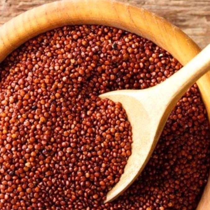 

Murah Organic Red Quinoa ( Quinoa Merah)- 500 Gram