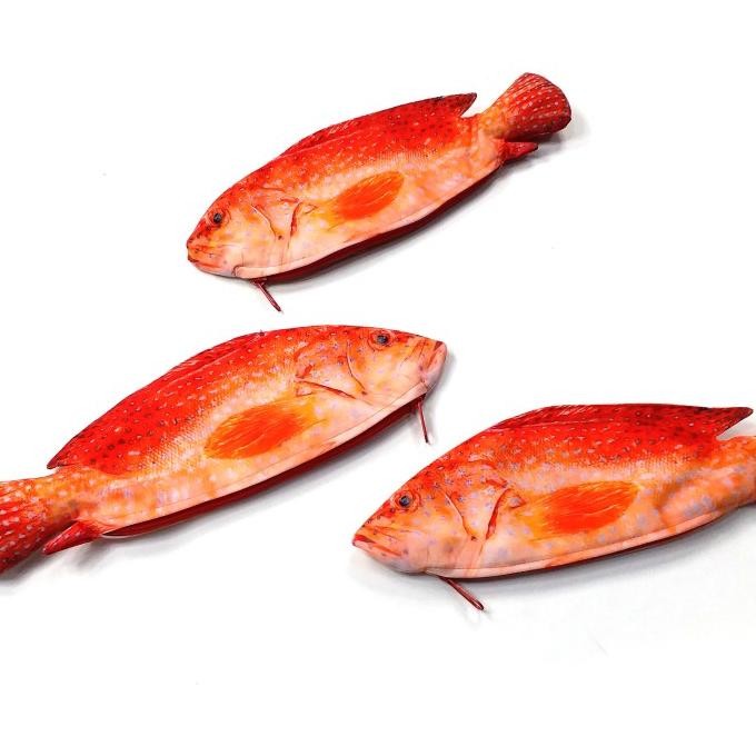 

Terbaru Tempat Pensil Ikan Shrelo Kerapu Merah Sunuk Plectropomus Leopardus untuk Kado Unik Penyimpan Stationery Kantor Sekolah