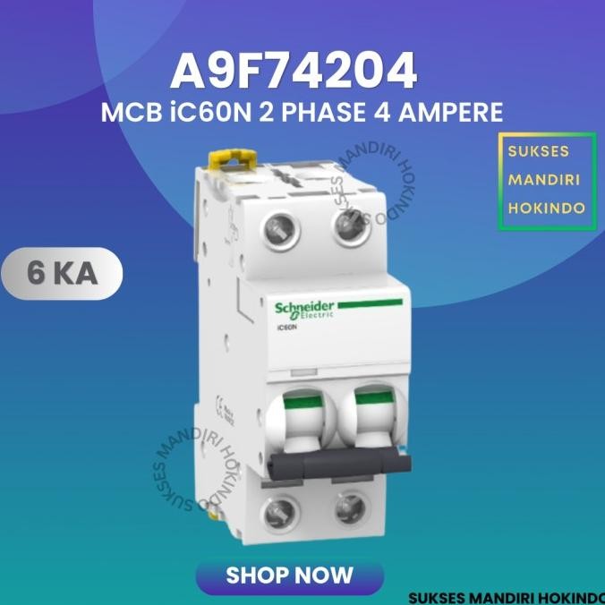 Miliki Mcb 2P 4A 2 Phase 4 Ampere Original Sni Schneider Ic60N 2 Pas 4 Amper