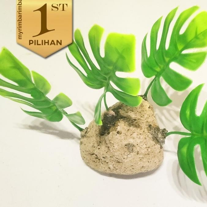 Paket 5 Tanaman Plastik Monstera Mini Hiasan Aquarium Aquascape Ikan Hias
